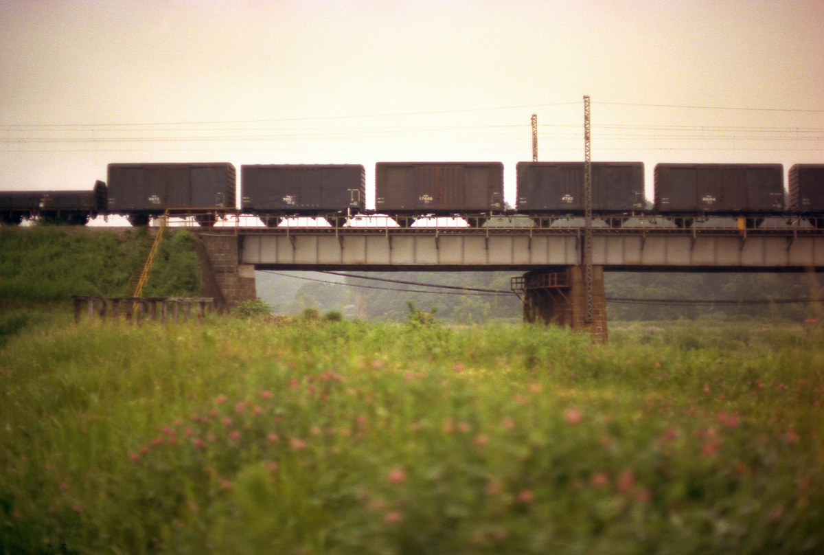 f0007294_15515651.jpg