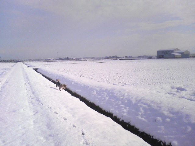 f0079202_12185793.jpg