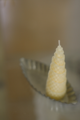 e0130907_1056484.jpg