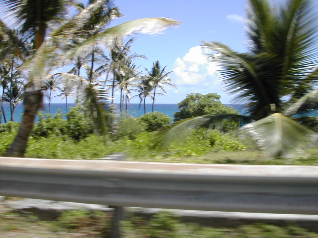 c0132608_168211.jpg