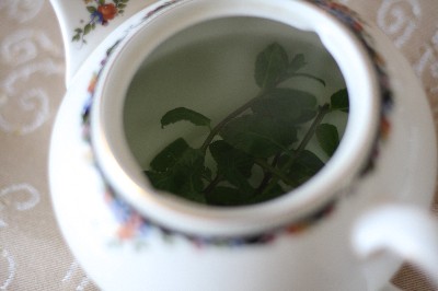 e0121710_1265014.jpg