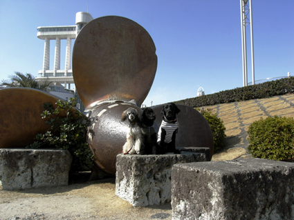 f0108112_21223714.jpg