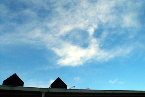 e0083517_4295135.jpg