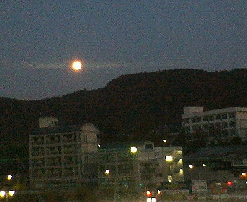 e0038719_198178.jpg