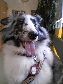 c0150520_21155093.jpg