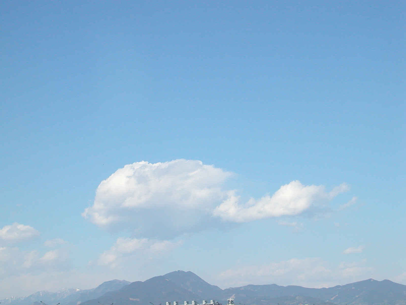 e0033229_7554515.jpg