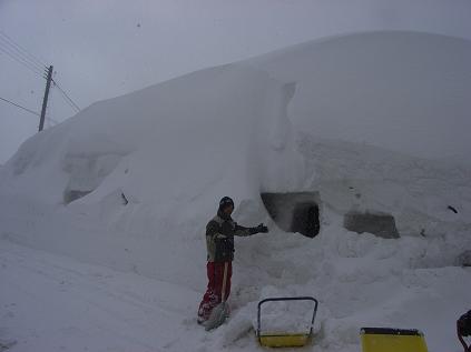 f0118332_22252220.jpg