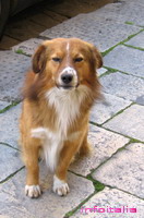 c0077533_4263815.jpg
