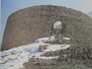 e0137634_848437.jpg