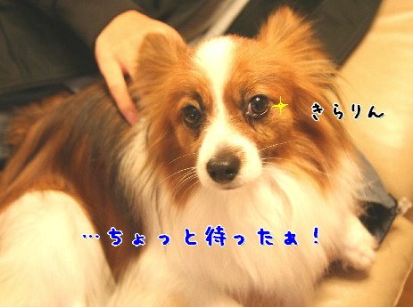 d0013149_7584697.jpg