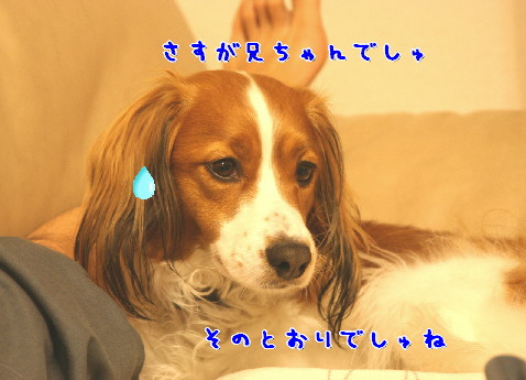 d0013149_8115319.jpg