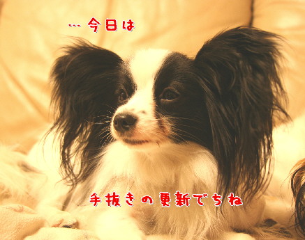 d0013149_825552.jpg