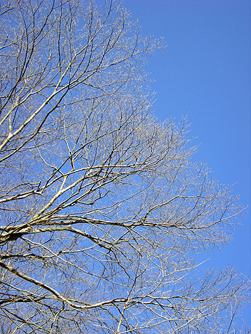 a0001354_19213655.jpg