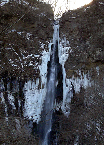 a0001354_192903.jpg