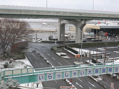 d0055259_2331666.jpg