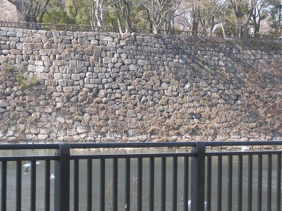 d0055259_234735.jpg