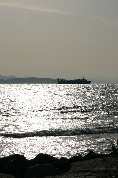 d0152960_16312815.jpg