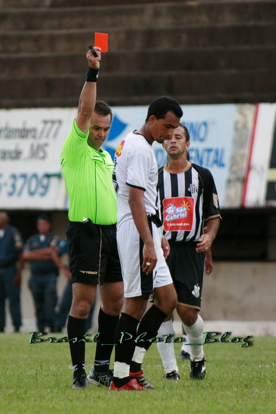 e0110461_829261.jpg