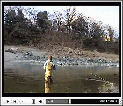 f0084561_14163296.gif