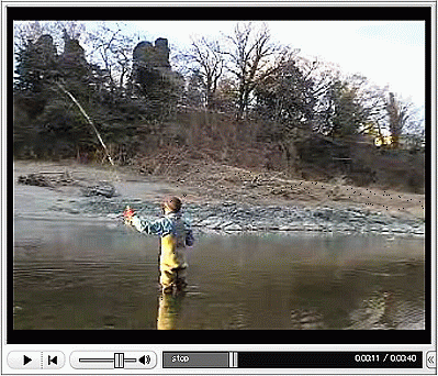 f0084561_1417641.gif