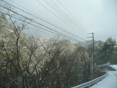 a0063364_23384016.jpg