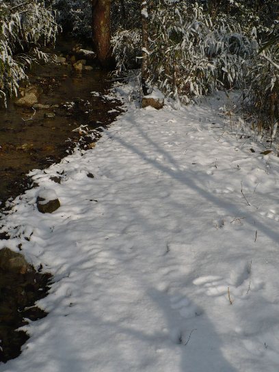 a0063364_2348315.jpg