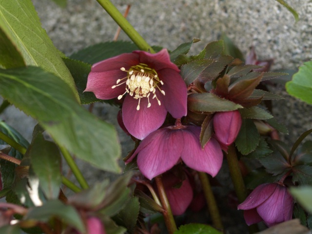 d0025568_7193585.jpg