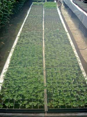 e0097770_19284484.jpg