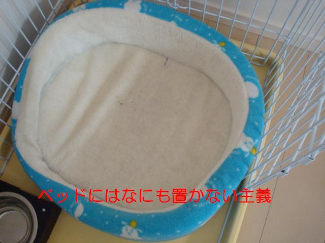 e0134873_14293152.jpg