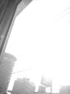 f0100480_1925851.jpg