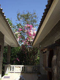 d0024504_16164261.jpg