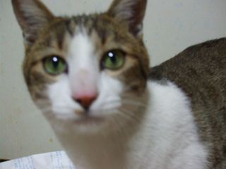 c0103205_21102727.jpg