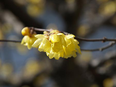 a0041508_21435794.jpg
