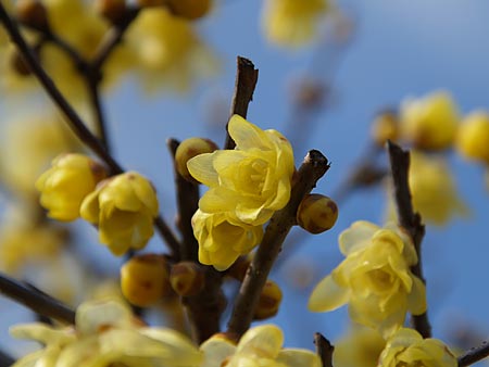 a0041508_2144351.jpg