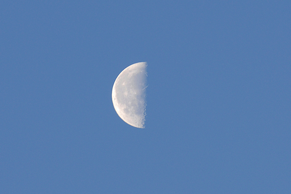 b0000608_6545218.jpg