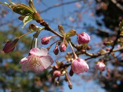 e0121110_939559.jpg