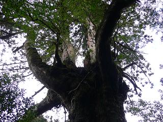 f0157115_5313070.jpg
