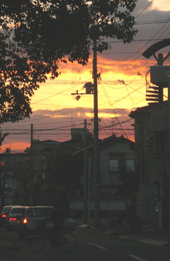 e0083517_1116849.jpg