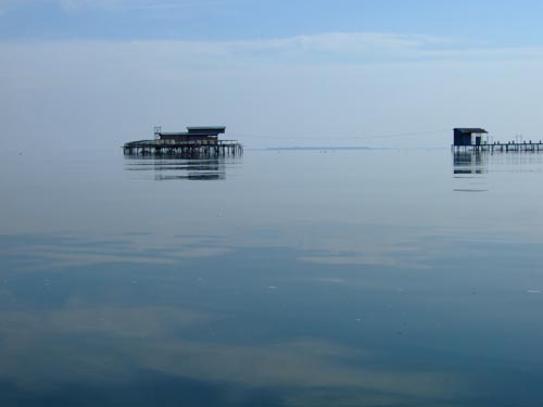 f0147025_2146496.jpg