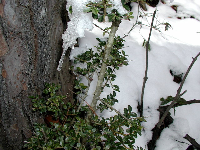 f0009128_1611468.jpg