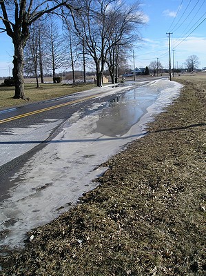 e0095029_725791.jpg