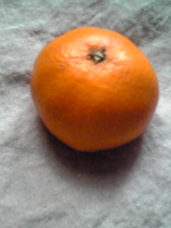 c0100534_21125129.jpg