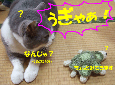 f0008935_13425049.gif