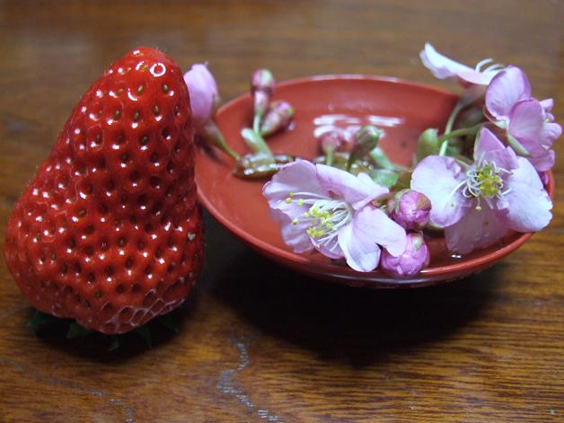 b0089338_0354710.jpg