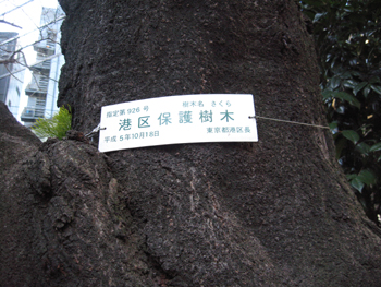 e0110940_21462030.jpg