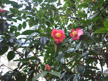 e0110940_21472684.jpg