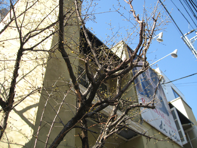 e0110940_2148577.jpg