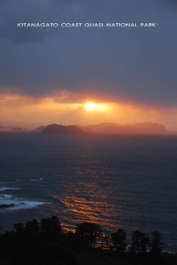 b0075541_0441764.jpg