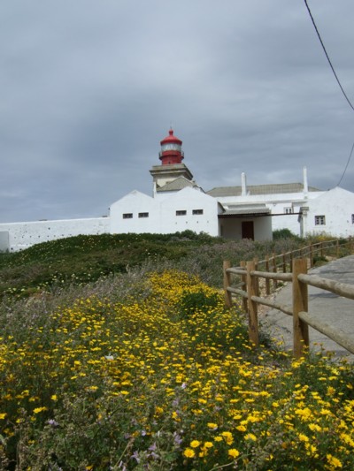 f0072241_856723.jpg