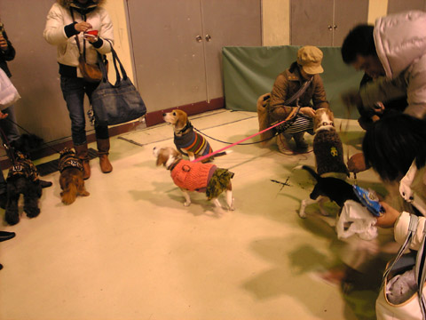 a0042044_22213365.jpg